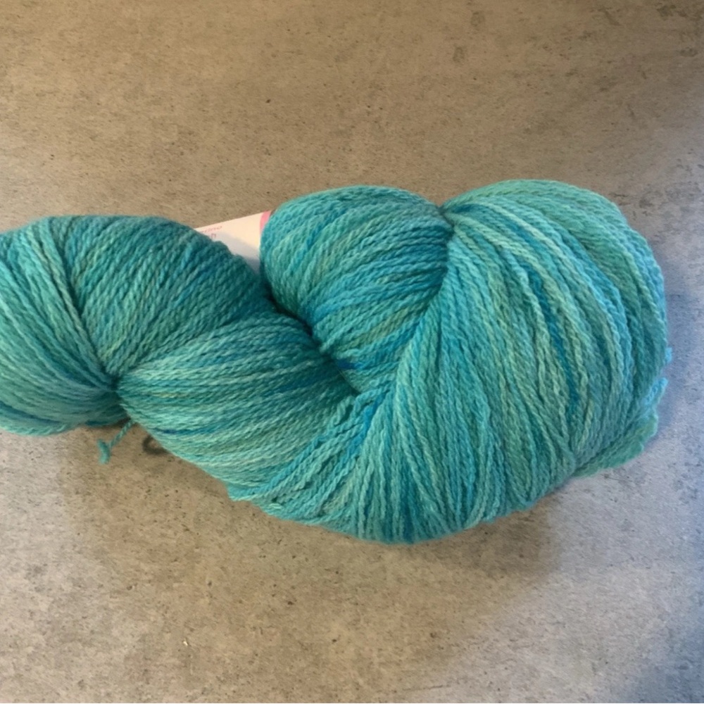 Pagewood Farm Willow Creek Hand Dyed Yarn “Seabreeze” 1100 yards - Picture 6 of 6
